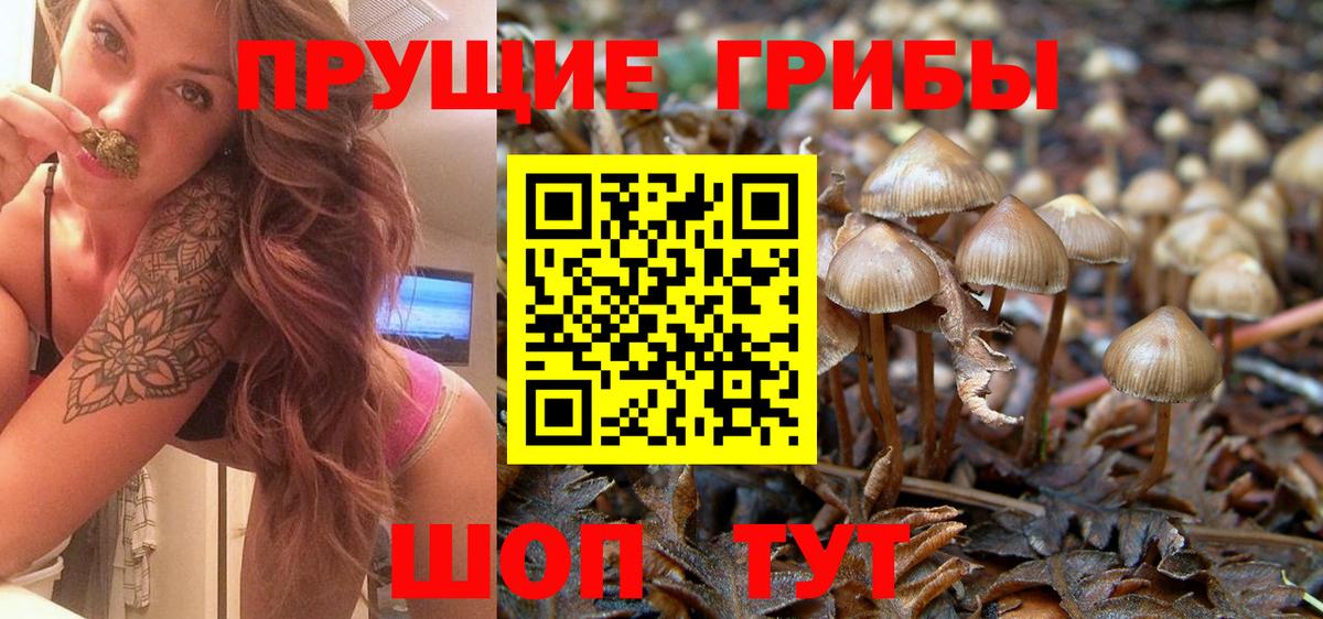 Галлюциногенные грибы мухоморы Ржев